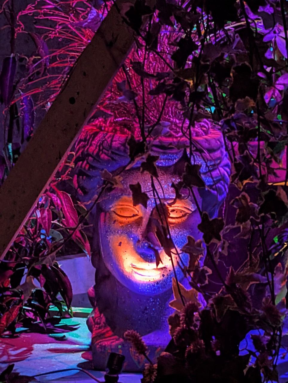 A face-shaped planter glowing among the plants