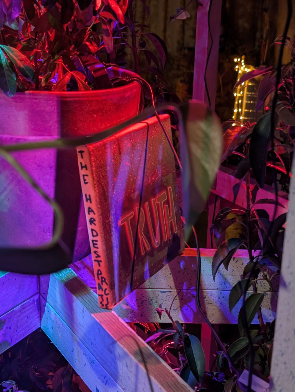 A painted book titled “Truth” among the potted plants