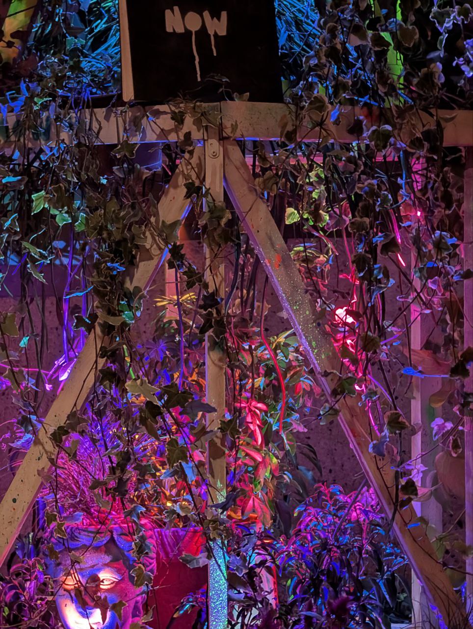 Trailing ivy and coloured light inside the structure, beneath the “Now” sign